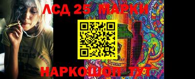 молекула духа Боровичи
